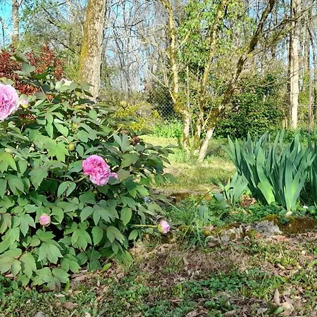 Lägenhet Maison Le Petit Bonheur Soturac
