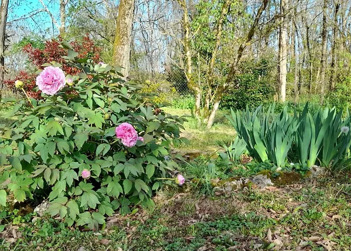 Апартаменты Maison Le Petit Bonheur Soturac